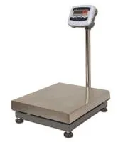 Анонс Весы напольные MAS PM1E-150-4050 - современные весы для бизнеса от ЦИРИ