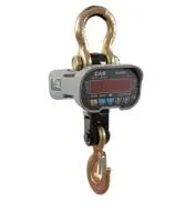 Анонс Крановые весы CAS Caston-I 3 THA - современные весы для бизнеса от ЦИРИ