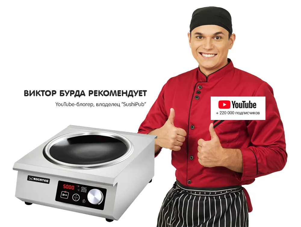 Плита индукционная Kocateq DC4050Eco Плита индукционная Kocateq DC4050Eco