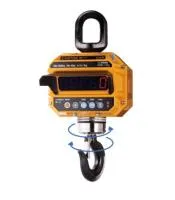 Анонс Крановые весы CAS Caston-III 10 THD RF с крюком TWN-B - современные весы для бизнеса от ЦИРИ