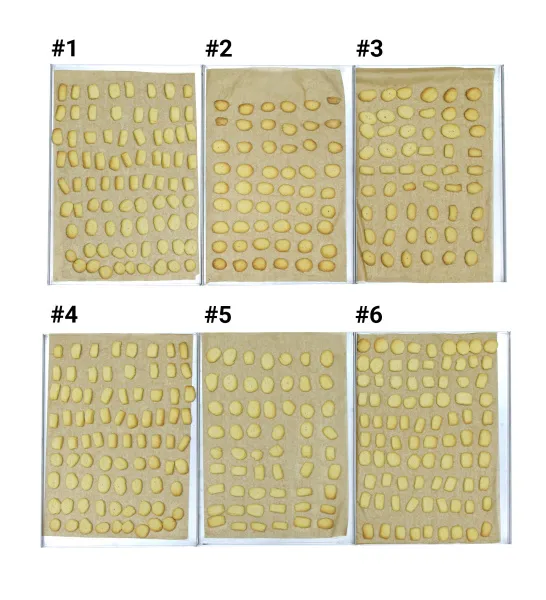 Пароконвектомат Distform MyChef Bake Pro 6 EN фото в Москве