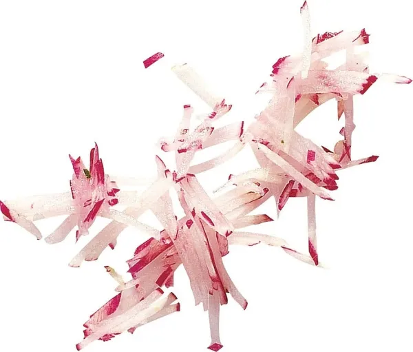 Диск для нарезки соломкой Robot Coupe 27599 2x2 мм