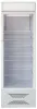 Шкаф холодильный Бирюса 310Р - подробное изображение