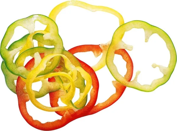 Набор дисков Robot Coupe 1961W Mineral+ (7 дисков) Набор дисков Robot Coupe 1961W Mineral+ (7 дисков)