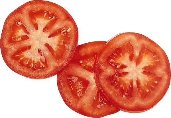 Набор дисков Robot Coupe 1945 (6 дисков)