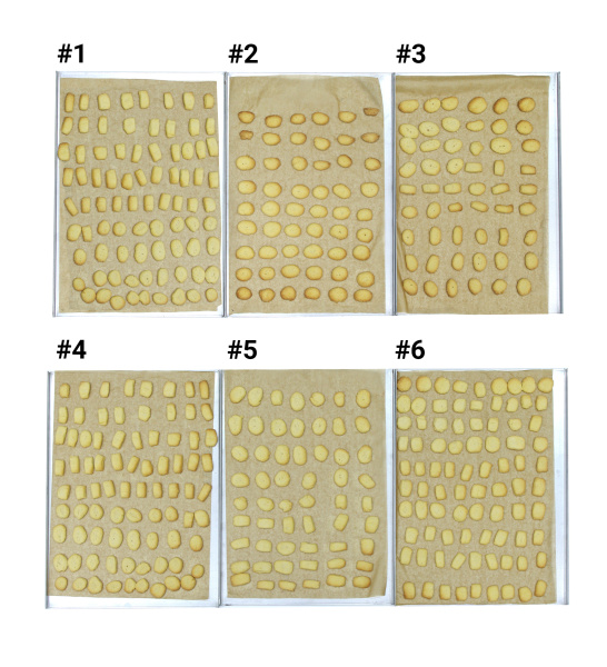 Пароконвектомат Distform MyChef Bake Pro 6 EN фото в #REGION_NAME_DECLINE_PP#