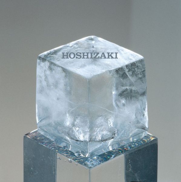 Льдогенератор Hoshizaki IM-240NE-HC
